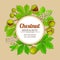 Chestnut vector frame