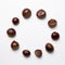 Chestnuts arranged in a circle on white background. Autumn and winter snacks