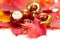Chestnuts on autumn leaves