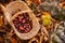 Chestnuts background top view - harvesting chestnut in forest with basket in autumn foliage ground