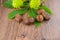 Chestnuts brown and green thorny on leaves and wooden background design autumn