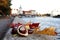 Chestnuts lie on a parapet on a maple leaf at Kant Island in Kaliningrad in autumn..