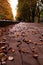 Chestnuts lie on a parapet on a maple leaf at Kant Island in Kaliningrad in autumn..