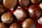 Chestnuts macro over red studio background