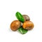 Chestnuts, ripe and unpeeled, on the white background, closeup, isolated