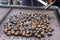 Chestnuts seasonal fruit farming Emilia Romagna Italy