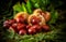 Chestnuts in their urchins on a background of ferns