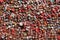 Chewing gums stuck to the wall. One of the tourist attractions  in Post Alley in Downtown Seattle. Gum wall