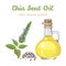 Chia seed oil in a glass bottle, branch of flowering green plant and heap of seeds