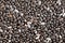 Chia seeds in high close up.