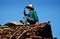 Chiang Mai, Thailand: Man Repairing Roof