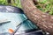 CHIANG MAI, THAILAND - NOVEMBER 25 : Fallen tree on a car after