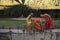 CHIANG MAI THAILAND â€“ MARCH 1 : Makha Bucha Day.Traditional buddhist monks and the lighting candles for religious ceremonies.