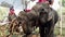 Chiang Rae, Thailand - 2019-03-13 - elephant feast festival - closeup of elephant taking sugar cane