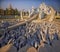 Chiang Rai Temple, Wat Rong Khun