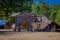 CHIANG RAI, THAILAND - FEBRUARY 01, 2018: Beautiful outdoor view of unidentified man playing with an elephant in a clay