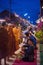 Chiangkhan, Loei, Thailand - November 27, 2016 :People are preparing food for giving alms to buddhist monks