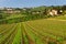 Chianti landscape, Tuscany, Italy