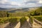 Chianti vineyard evening landscape