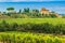 Chianti vineyard landscape with stone house,Tuscany,Italy,Europe