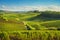 Chianti vineyards and panorama at sunset. Vinci, Tuscany, Italy