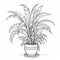 Chiaroscuro Spider Plant Coloring Page: Realistic Yankeecore Design