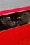 Chic black British cat in a red shoe box.