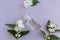 A chic bottle of women`s perfume or toilet water among the white flowers of jasmine. top view. flat layout. unnamed vial for