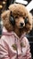 Chic Canine Beats: Poodle\\\'s Sporty Outfit and Headphones in Perfect Harmony