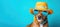 Chic Canine Coolness: A Pup's Summer Fashion Statement with Shades and Hat. Generative AI