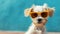 Chic Canine Couture Adorable Puppy Portrait in Sunglasses