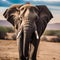 A chic elephant in fashionable attire, posing for a portrait with a gentle and wise presence3