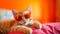 Chic Feline Fashion Adorable Kitten Portrait in Stylish Sunglasses