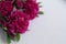 Chic pions for mother `s day, photo opening with flowers, fuxia flowers pions, flowers for women, flowers for mother, women `s day
