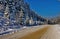 A chic winter landscape of a frosty day. With a rolling road running along beautiful tall firs growing on a slope