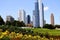 Chicago Architecture with Flowers