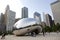 Chicago bean