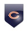 Chicago bears team