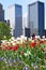 Chicago Buildings with Flowers