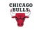 Chicago Bulls Logo