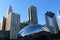 Chicago cityscape and Bean