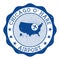 Chicago O`Hare Airport stamp..