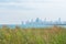 The Chicago Skyline and Lake Michigan in the distance seen from the Montrose Point Bird Sanctuary in Uptown Chicago with Native Pl
