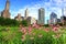 Chicago skyline from Lurie Garden