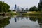 Chicago Skyline with Nature