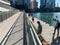Chicago in summer, including texting and walking on the riverwalk, kayaks on the river, tourists and commuters, and dog walking