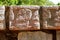 Chichen Itza Tzompantli the Wall of Skulls