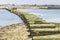 Chichester Harbour, remains of Hayling Billy railway bridge