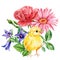 Chick and beautiful spring flowers, small yellow bird on isolated white background in watercolor hand-drawn illustration