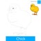 Chick bird learn to draw vector